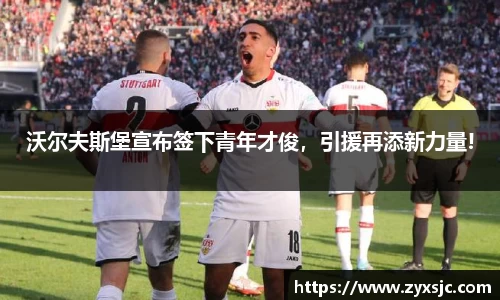 BoB半岛·体育中国官方网站