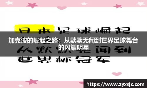 BoB半岛·体育中国官方网站